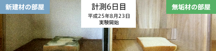 計測6日目